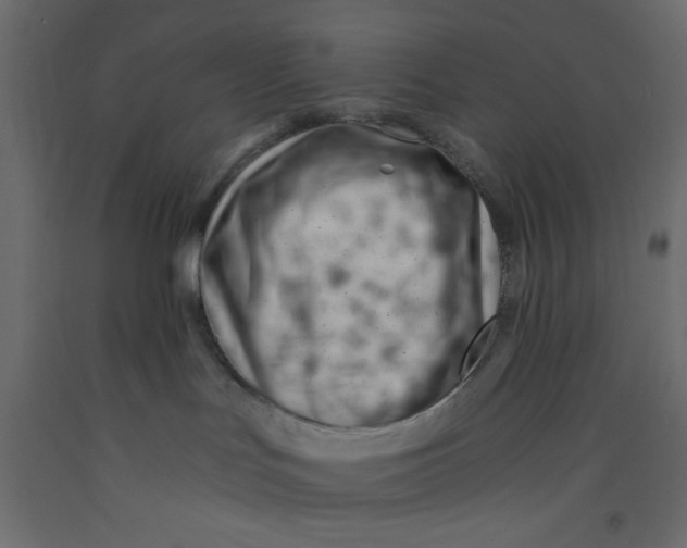 X0000092260047200710121348