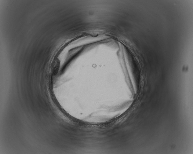 X0000092260049200710121347