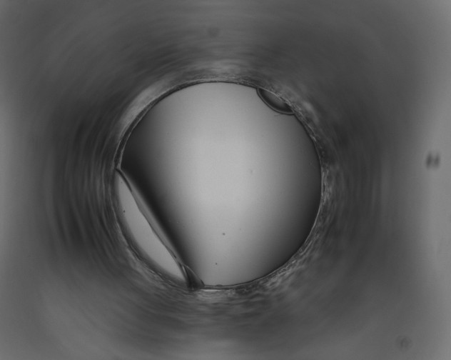 X0000092260051200710121347