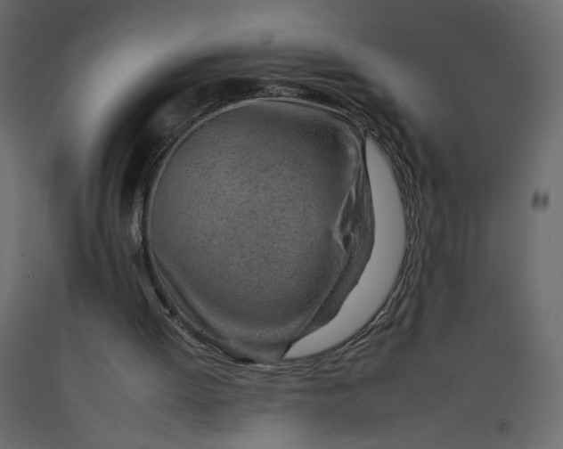 X0000092260052200710121347