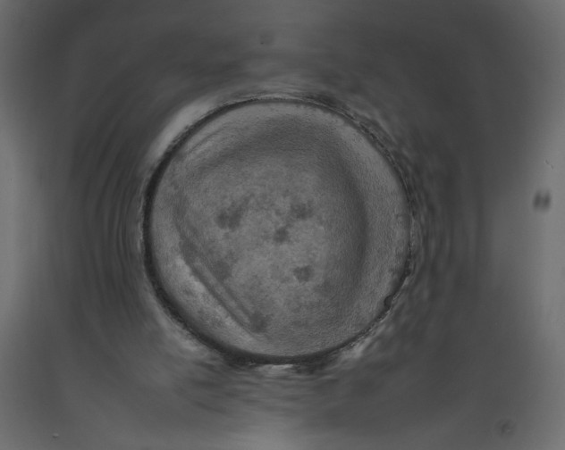 X0000092260054200710121347