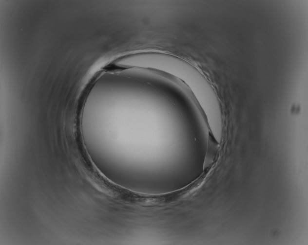X0000092260056200710121347