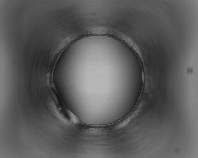 X0000092260057200710121347