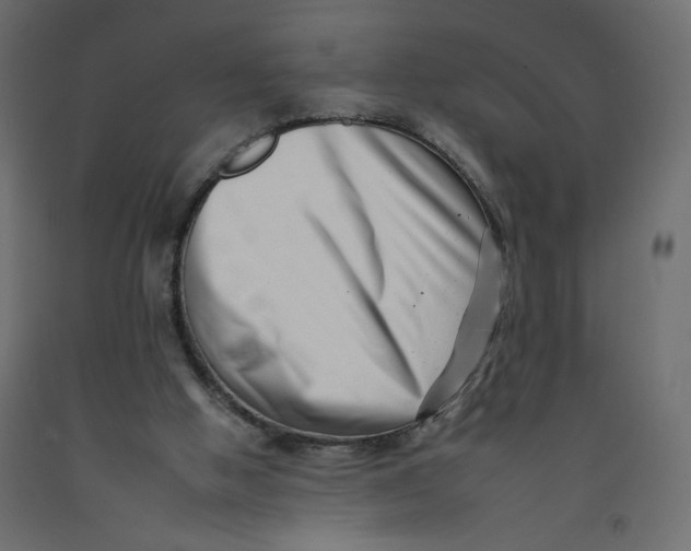 X0000092260058200710121347
