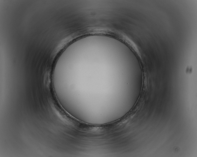 X0000092260059200710121347