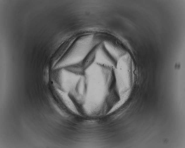 X0000092260061200710121347