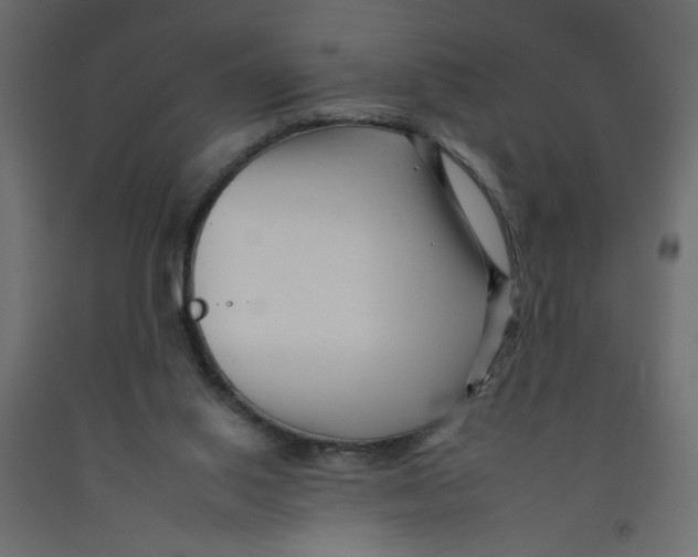 X0000092260062200710121348