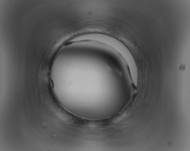 X0000092260064200710121348