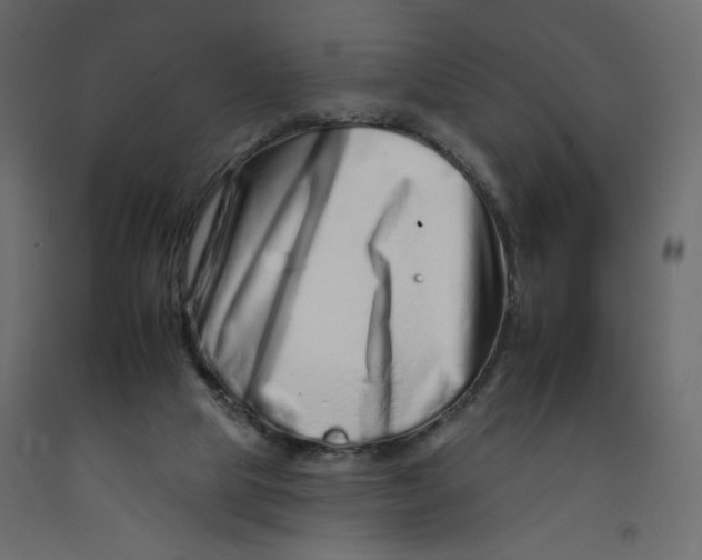 X0000092260065200710121348