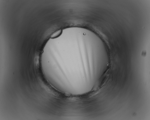 X0000092260067200710121348