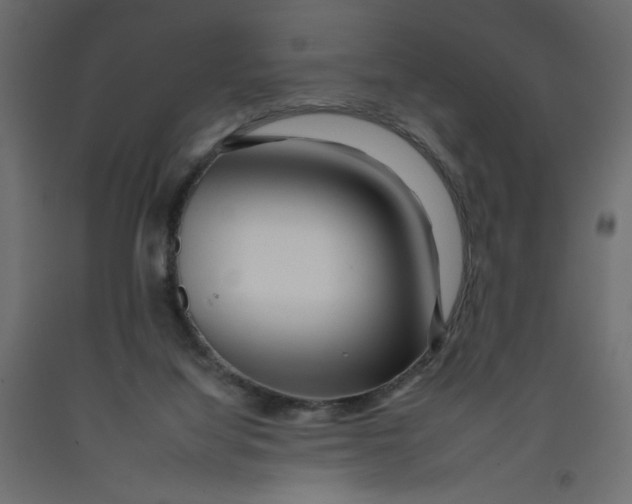 X0000092260068200710121348