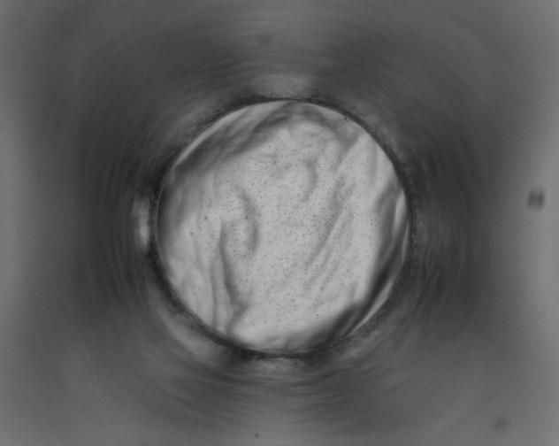 X0000092260069200710121348