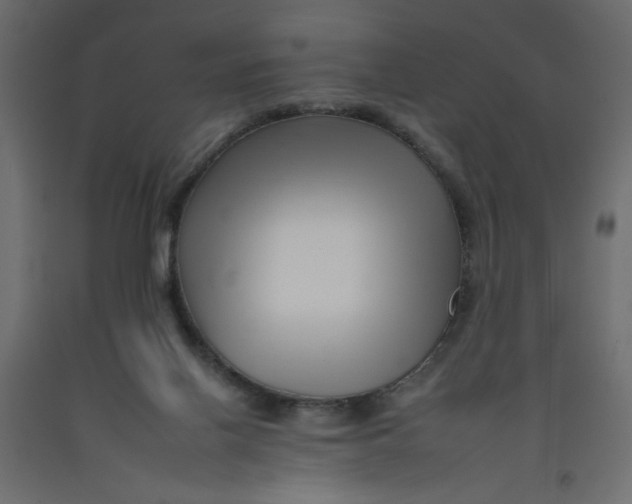 X0000092260070200710121348
