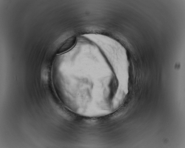 X0000092260071200710121348