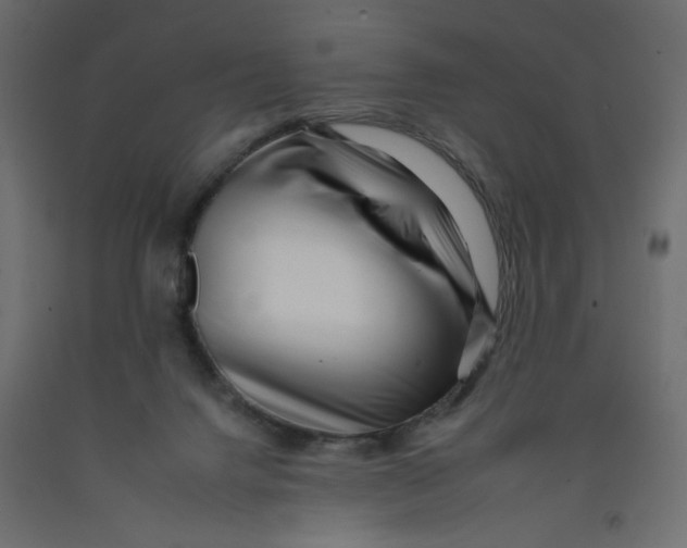 X0000092260072200710121348