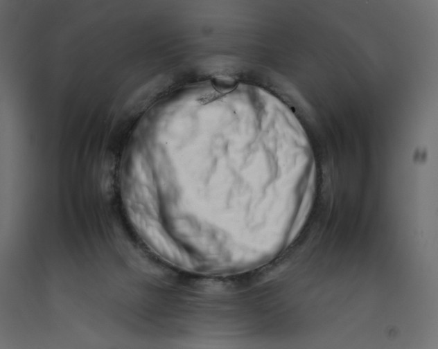 X0000092260073200710121348