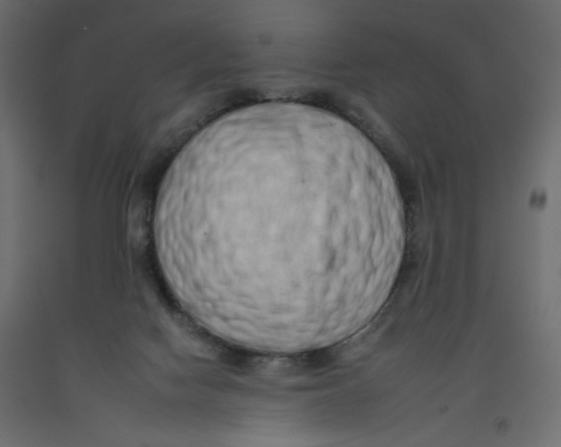 X0000092260074200710121348