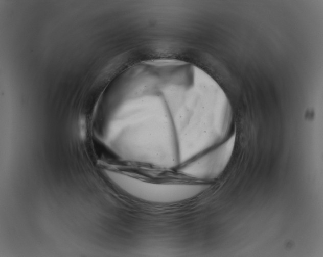 X0000092260075200710121348