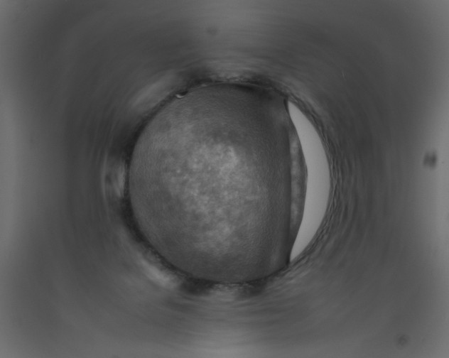 X0000092260076200710121348