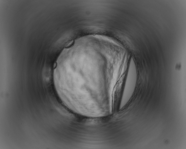 X0000092260077200710121348