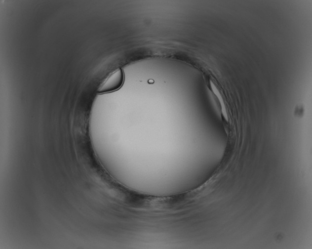 X0000092260078200710121348