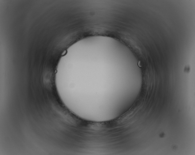 X0000092260079200710121348