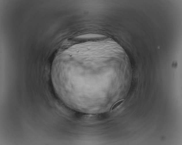 X0000092260082200710121348