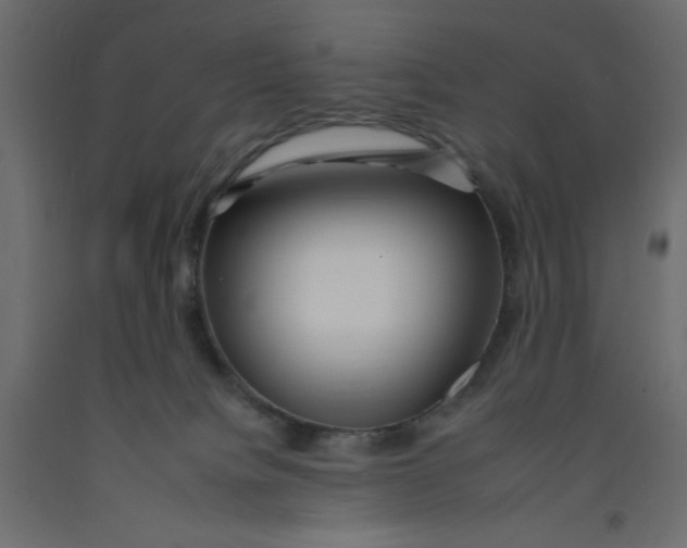 X0000092260084200710121348