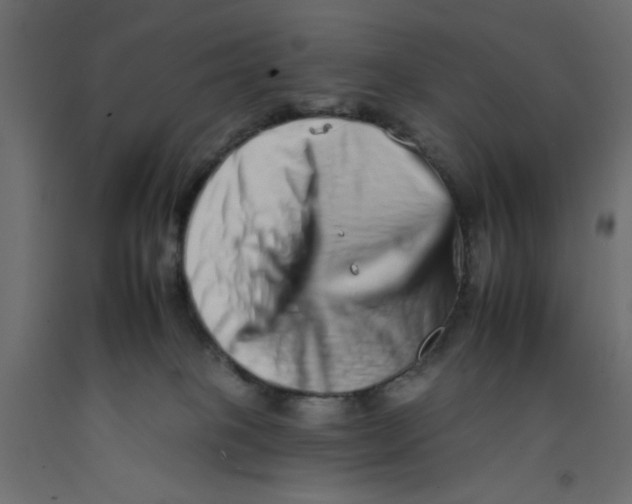 X0000092260085200710121348