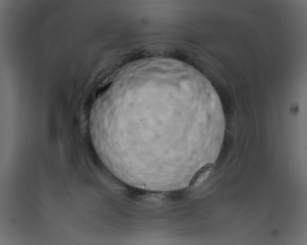 X0000092260086200710121348