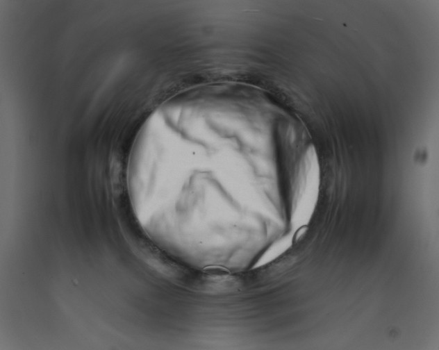 X0000092260087200710121348