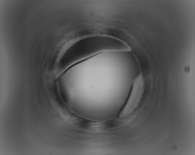 X0000092260088200710121348