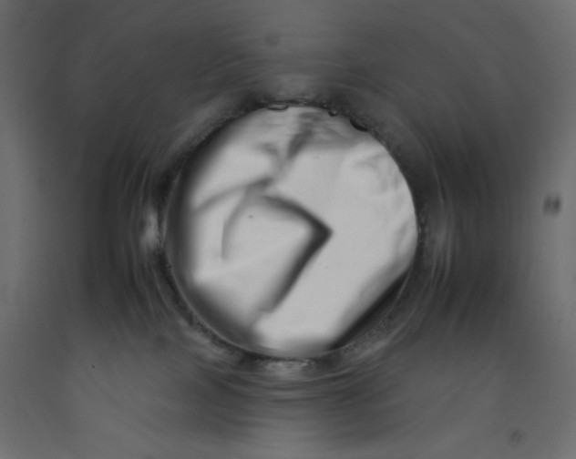 X0000092260089200710121348