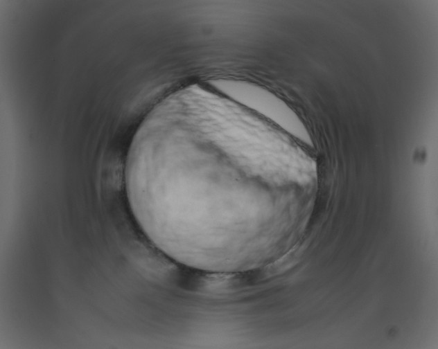 X0000092260090200710121348