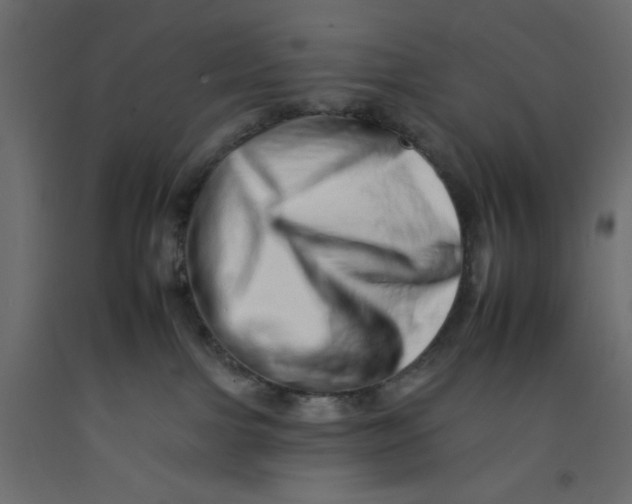 X0000092260091200710121348