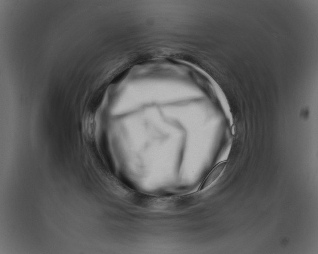 X0000092260094200710121348