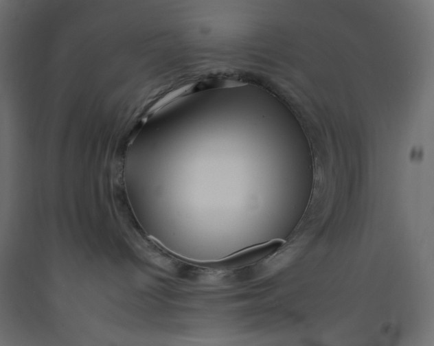 X0000092260096200710121348
