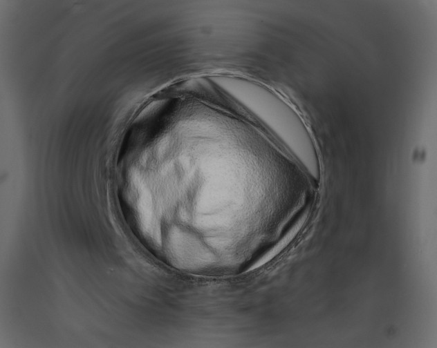 X0000092260097200710121347