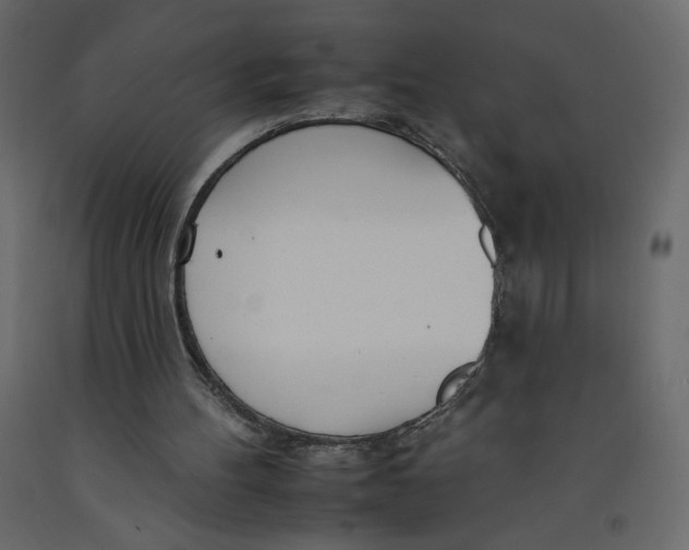 X0000092260100200710121347