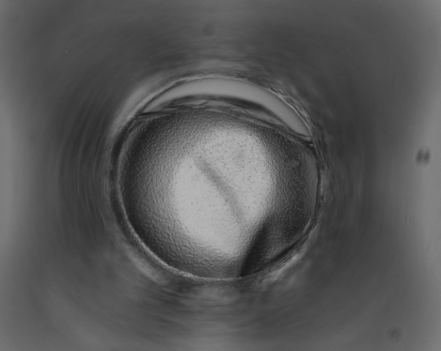 X0000092260101200710121347