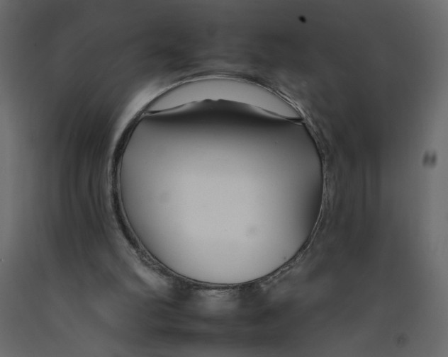 X0000092260102200710121347