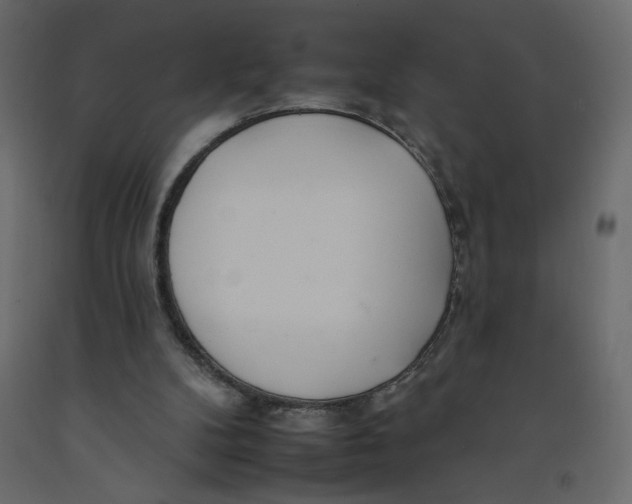 X0000092260104200710121347