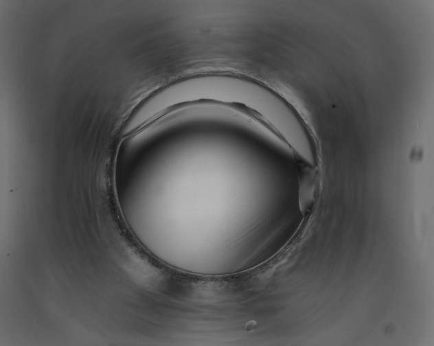 X0000092260105200710121347