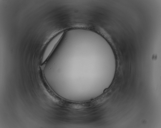 X0000092260106200710121347