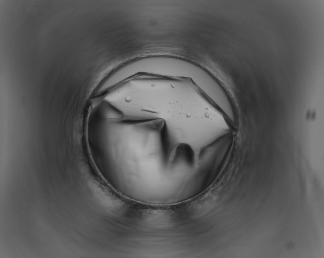 X0000092260107200710121347