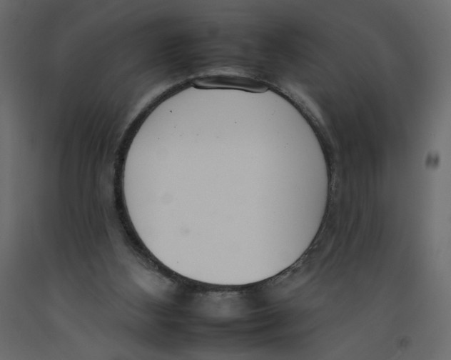 X0000092260108200710121347