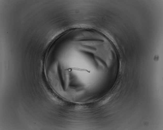 X0000092260109200710121347