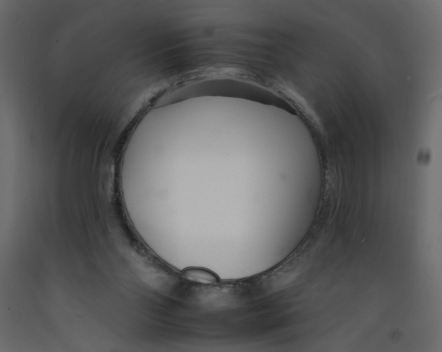 X0000092260110200710121347