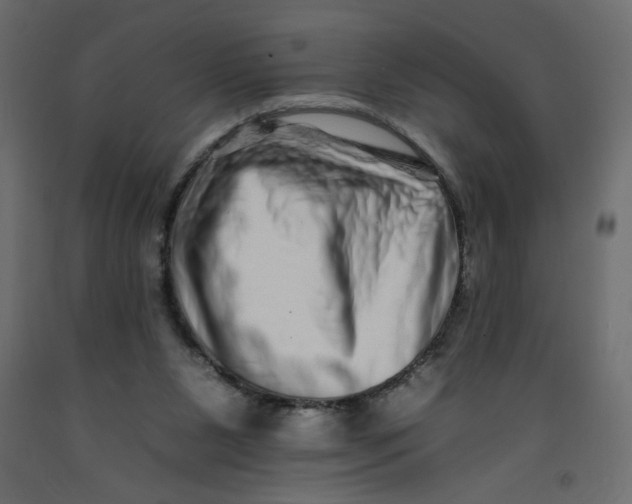 X0000092260111200710121347