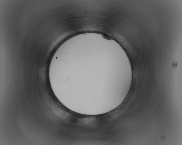 X0000092260112200710121347